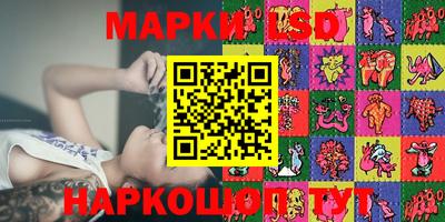 индика Славгород
