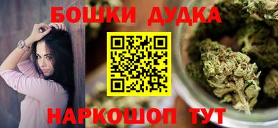 индика Славгород