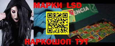 индика Славгород