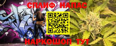 индика Славгород