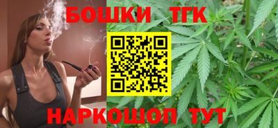 индика Славгород