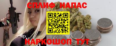 индика Славгород