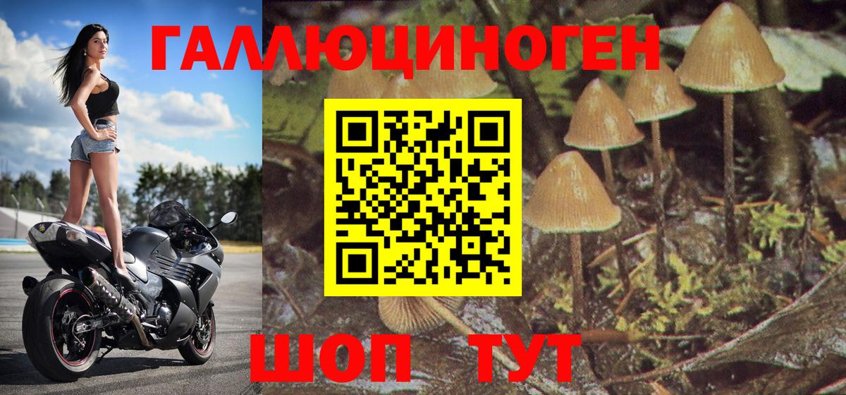 Галлюциногенные грибы GOLDEN TEACHER Назрань