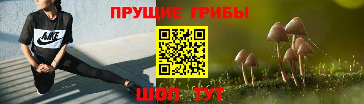 Назрань  Галлюциногенные грибы Psilocybe  Вход с VPN 