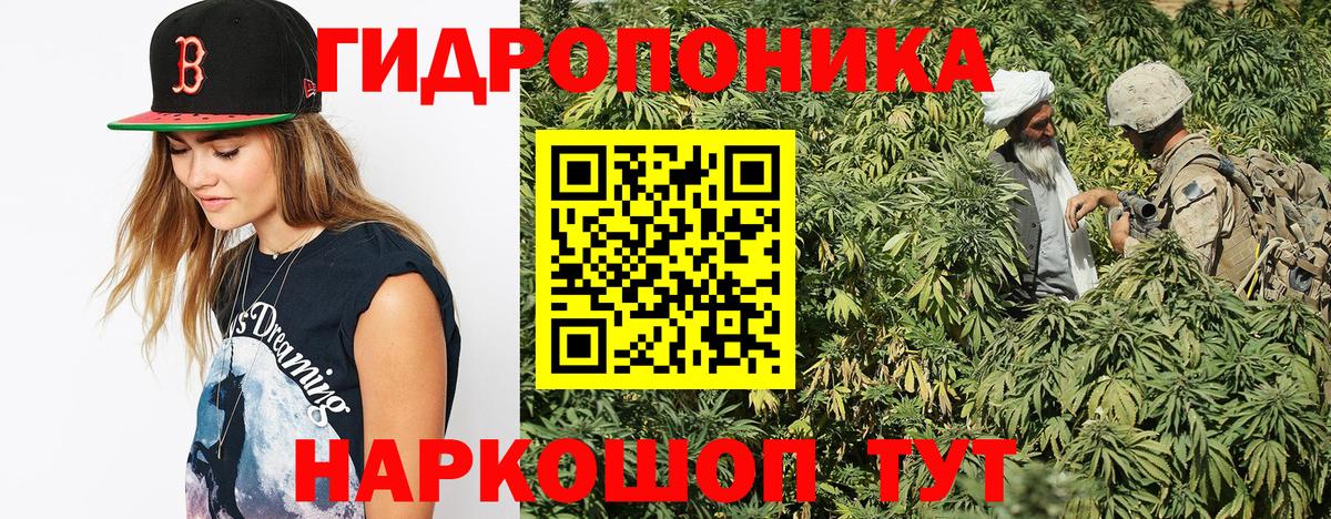 Конопля Ganja Назрань